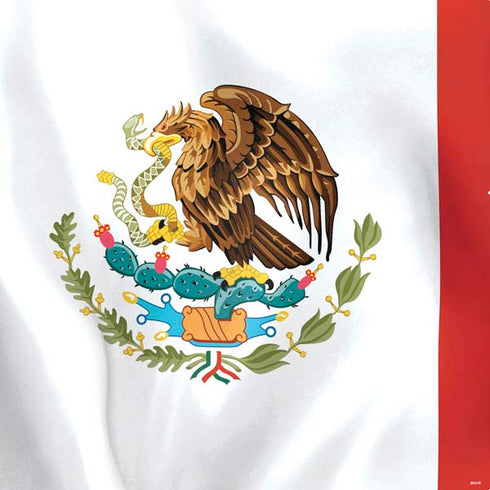 Mexico Flag PS4 Pro Bundle Skin